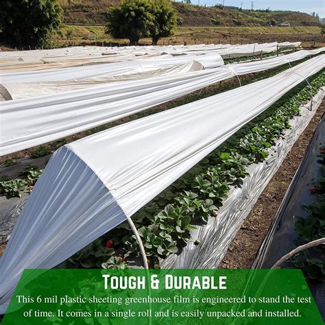 4 Year UV Resistant 6 Mil White Greenhouse Plastic Sheeting | eBay