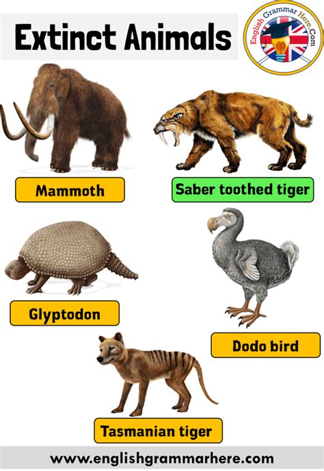 Names of Extinct Animals, Extinct Animals With Names and Pictures Names ...