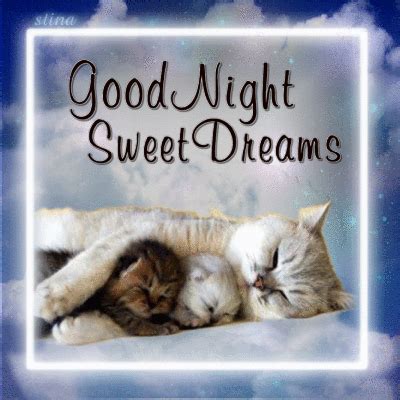 Good Night, Sweet Dreams! | Good night sweet dreams, Cute good night, Good night cat