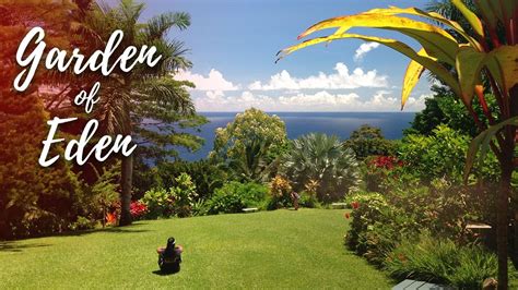 Garden Of Eden Maui | Fasci Garden