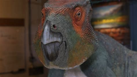 Dinosaurs of prehistoric B.C. apart of Royal B.C. Museum's newest exhibit