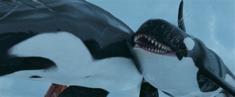 Killer Whale - Happy Feet Wiki, The Movie-Based Happy Feet Encyclopedia