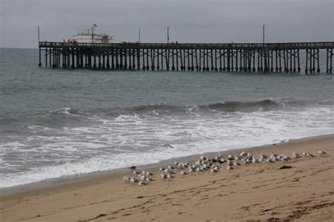 Balboa Pier Beach in Newport Beach, CA - California Beaches