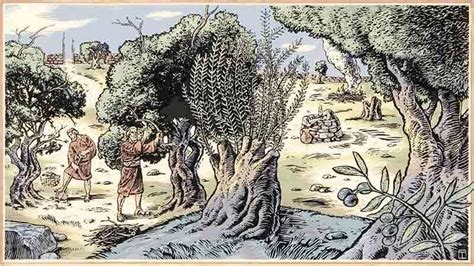 13 - The Symbolism and Meaning of the Allegory of the Olive Tree ...