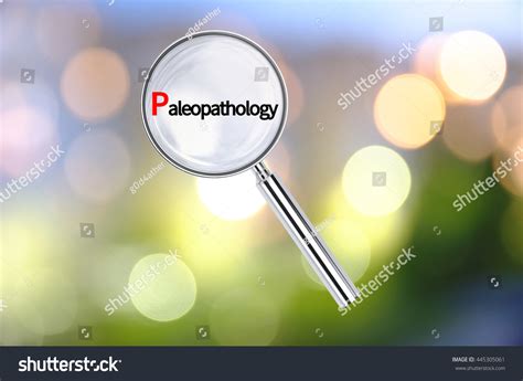 1 Paleopathology Images, Stock Photos & Vectors | Shutterstock