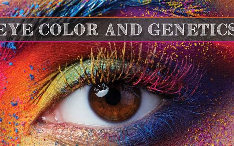 Eye Color- Melanin Pigmentation Determines Eye Color