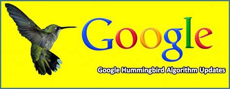 Google Hummingbird Algorithm: A Complete Guide To Google Hummingbird Updates