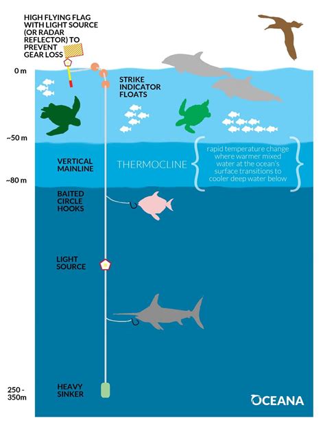 Achieving a Sustainable Swordfish Fishery with Deep-Set Buoy Gear - Oceana USA