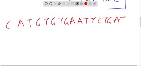 SOLVED: The 5’ overhang on your vector is GATC. Which of the following ...