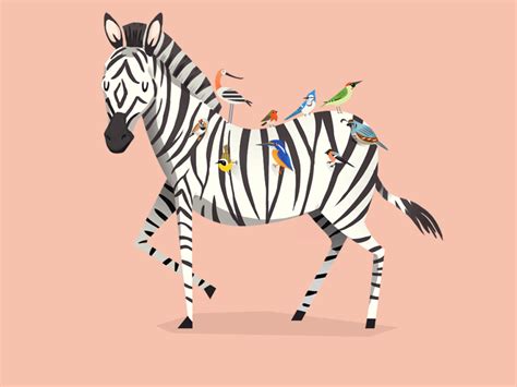 Zebra with birds animation by Jono Yuen on Dribbble