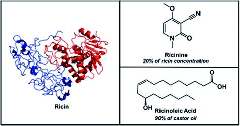 A proof-of-concept, two-tiered approach for ricin detection using ambient mass spectrometry ...