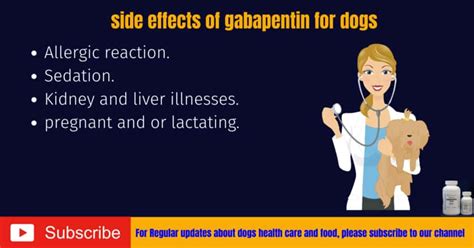 Gabapentin For Dogs-Dosage Chart-How to Use?