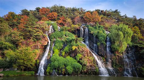 Cafe Pokpo: The Waterfall Cafe in Seoul