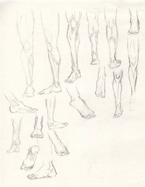 Leg anatomy study by anvemi on DeviantArt