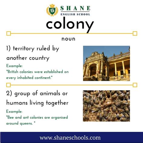 English Lesson 0083: Word of the Day "colony" - Shane English Schools Worldwide