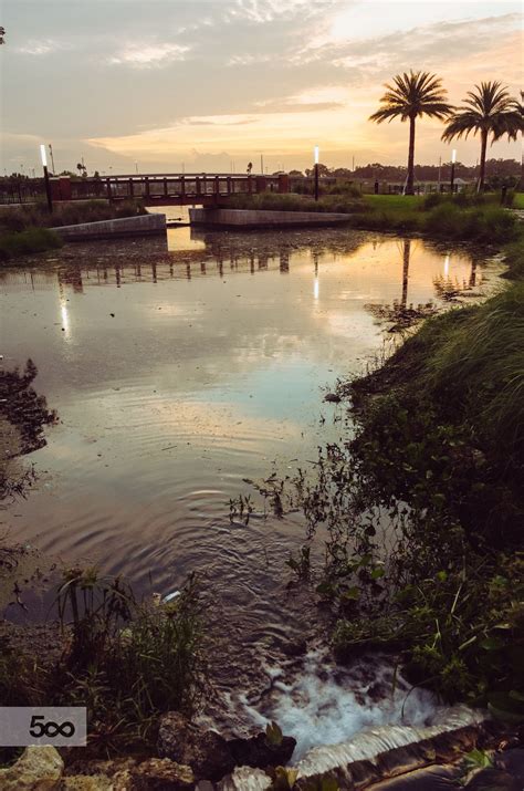 Ulele Spring at Water Works Park | Water, Park, Photo