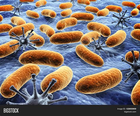 Different Pathogen Image & Photo (Free Trial) | Bigstock