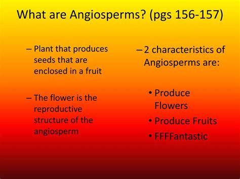 PPT - Aim: Characteristics of Angiosperms Warm Up: Why do some flowers smell pretty? PowerPoint ...