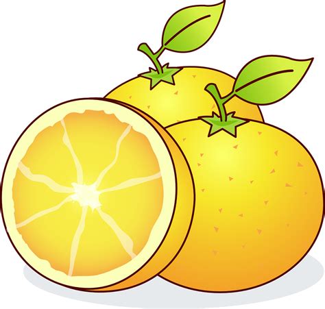 Download Oranges, Fruits, Food. Royalty-Free Vector Graphic - Pixabay