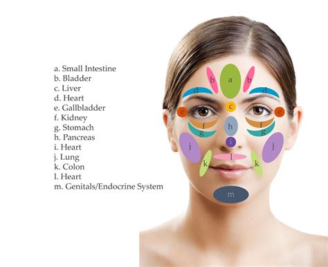 Face Reflexology Chart Printable | Free Resume Templates