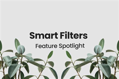 Smart Filters - Feature Spotlight — BudSense