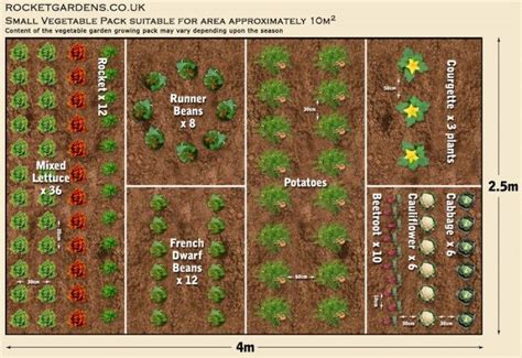 19 Vegetable Garden Plans & Layout Ideas That Will Inspire You | Small vegetable gardens ...