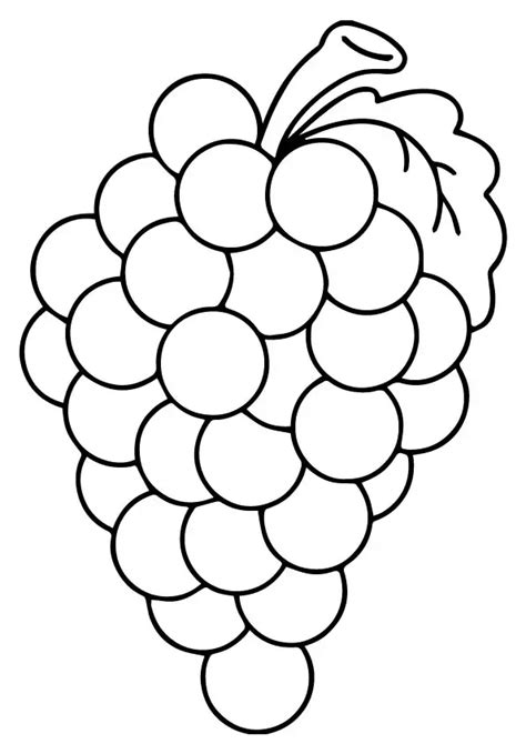 Coloring Page in 2023 | Fruit coloring pages, Coloring pages, Grape drawing