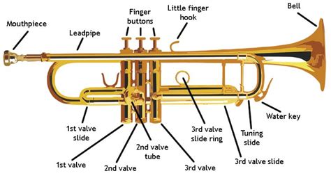 Trumpet Diagram