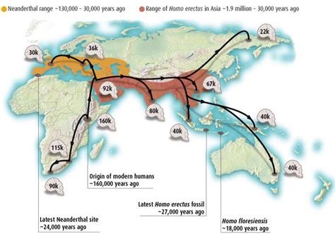 Human evolution, Ancient humans, Human migration