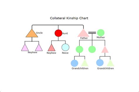 Kinship Chart Diagram Tutorial: Explain with Examples