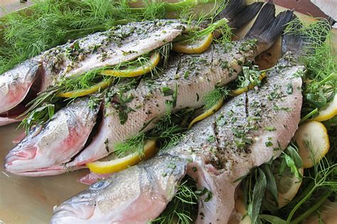 GRILLED SEA BASS WITH HERBS AND LEMON