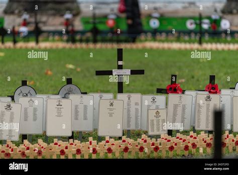 London, UK. 8th Nov, 2022. The Westminster Abbey Field of Remembrance ...