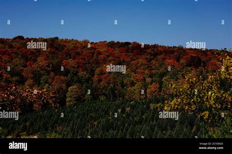 Fall colors in Vermont Stock Photo - Alamy