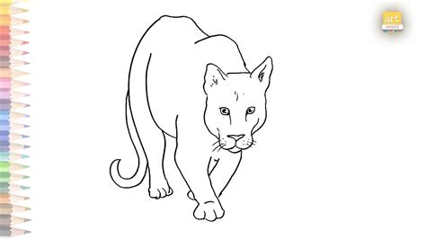 Mountain Lion Drawing For Kids