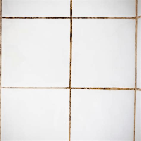 How to Remove Mold from Shower Caulk or Tile Grout Easily