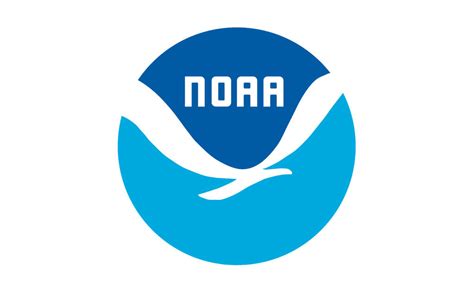 La NOAA cancela cinco estudios de pesca a gran escala debido al COVID ...