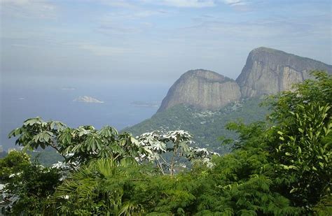 Tijuca national park - Rio de Janeiro Blog