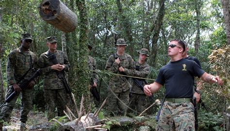 DVIDS - Images - Jungle Warfare Training Center [Image 4 of 6]