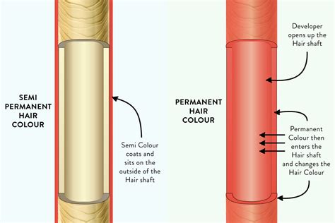 Semi Colour vs Permanent Hair Colour. What is the difference? – My Hairdresser Online