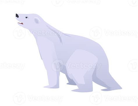 Polar white bear Arctic circle animal flat illustration isolated 24750142 PNG