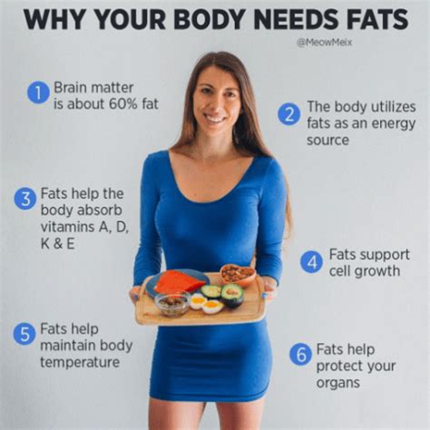 The Lowdown on Dietary Fat: Why Your Body Needs It - MeowMeix