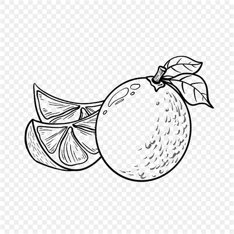 Produce Clipart Black White