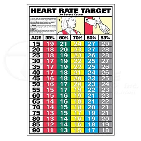 10 Second Heart Rate Fitness Chart 0CHF15B | Full Circle Padding