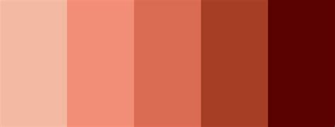Terracotta Color Palette Hex Color Palette Color Sche - vrogue.co
