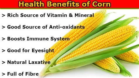 TIPS TO IMPROVE HEALTHY LIFE: Health Benefits of Corn