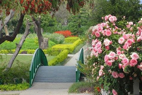 Beautiful And Amazing Images Of Rose Garden Chandigarh