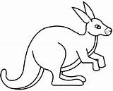 Cute Kangaroo coloring Page  Free Printable Coloring Pages sketch template