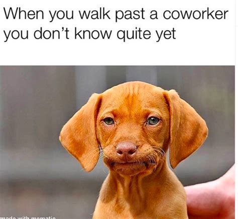 37 Funny Work Memes To Help You Make It To 5pm