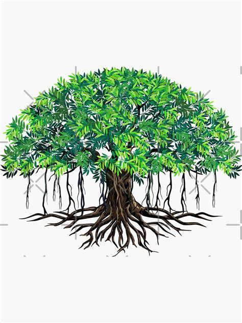 "Banyan Tree Wall Art" Sticker for Sale by ArgDesigner | Redbubble