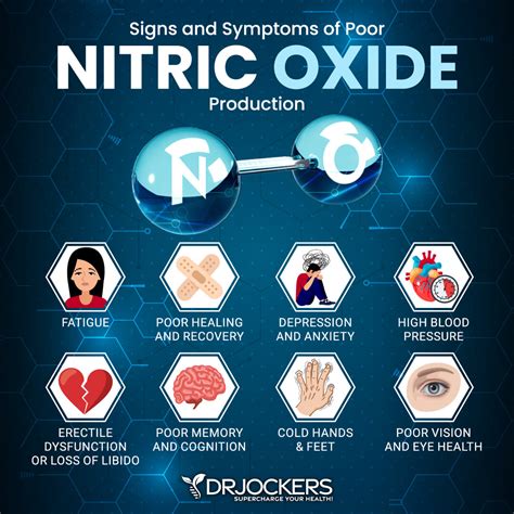 Nitric Oxide Benefits and How to Increase Levels - DrJockers.com